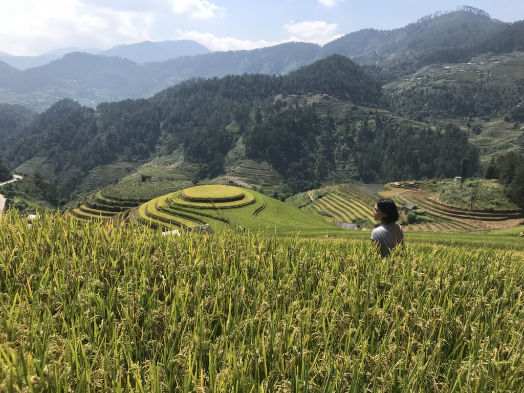 Mam Xoi site in Mu Cang Chai