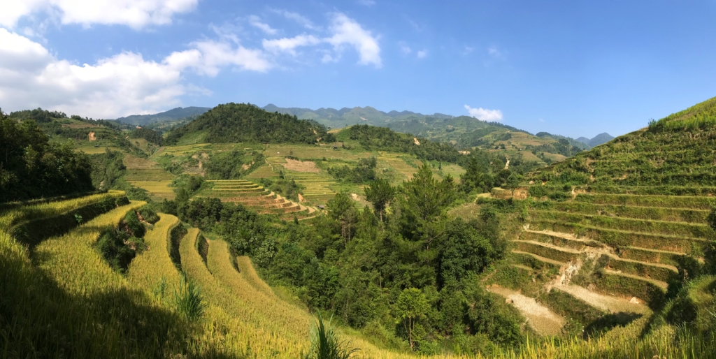 Rice fields in Mu Cang Chai