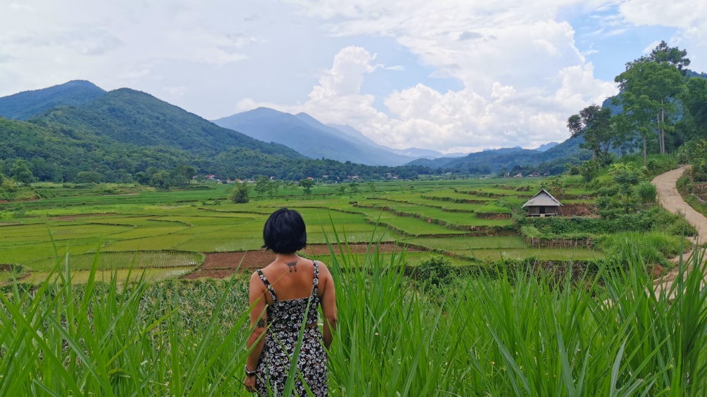 Terraced rice paddy fields of Pu Luong in Northern Vietnam