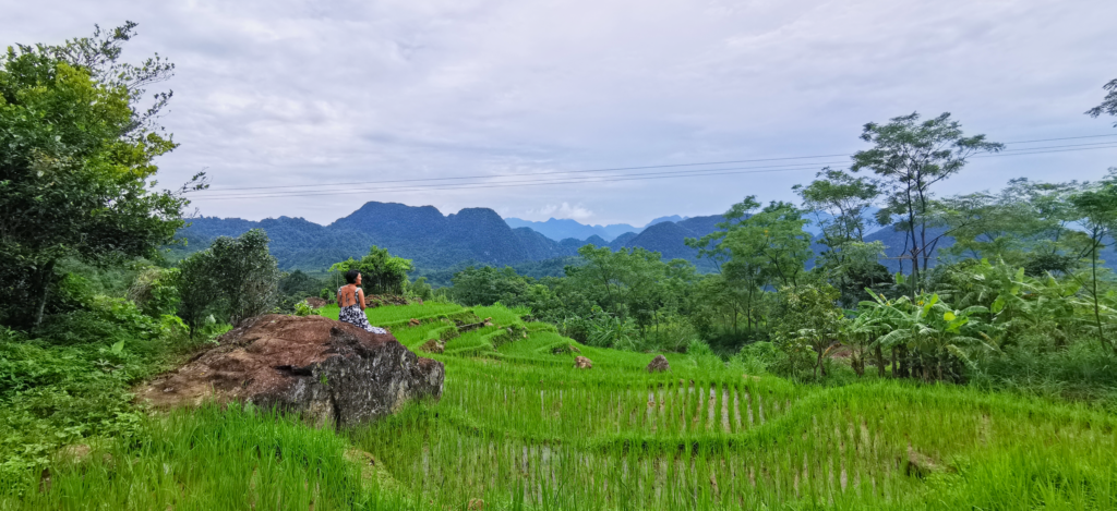 Terraced rice paddy fields of Pu Luong in Northern Vietnam