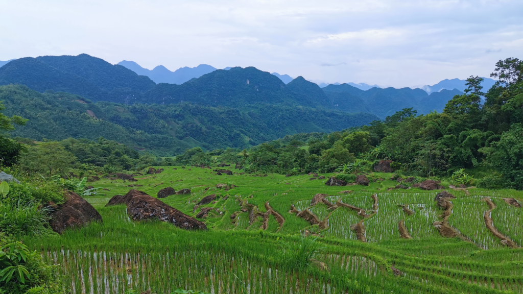 Houses in Pu Luong in northern Vietnam