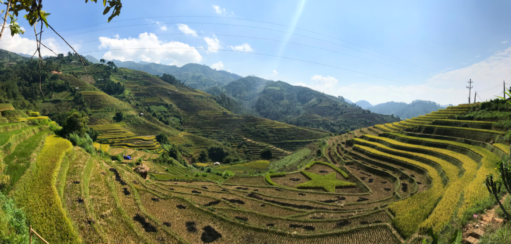 Star-shaped rice field in La Pan Tan, Mu Cang Chai.