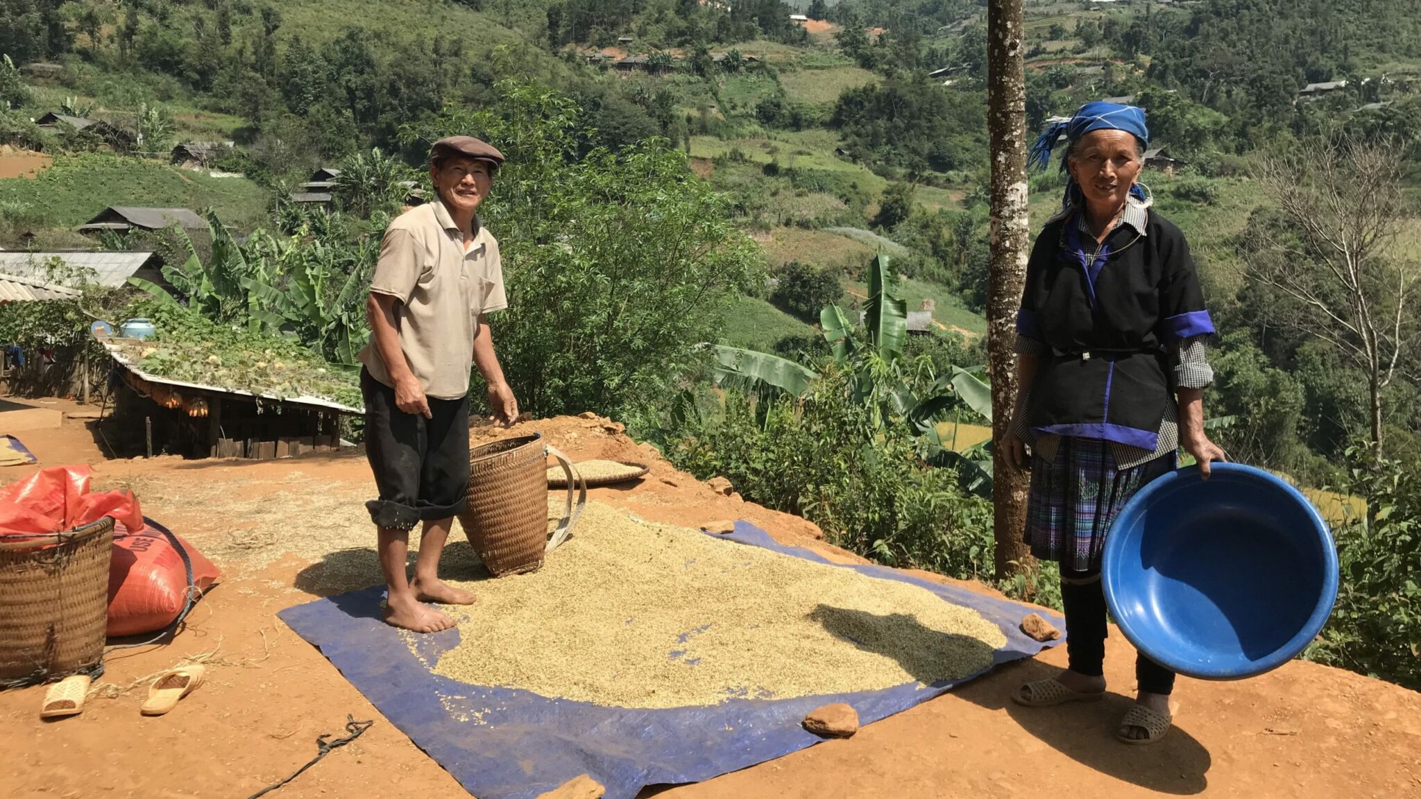 A couple during the rice harvest Mu Cang Chai