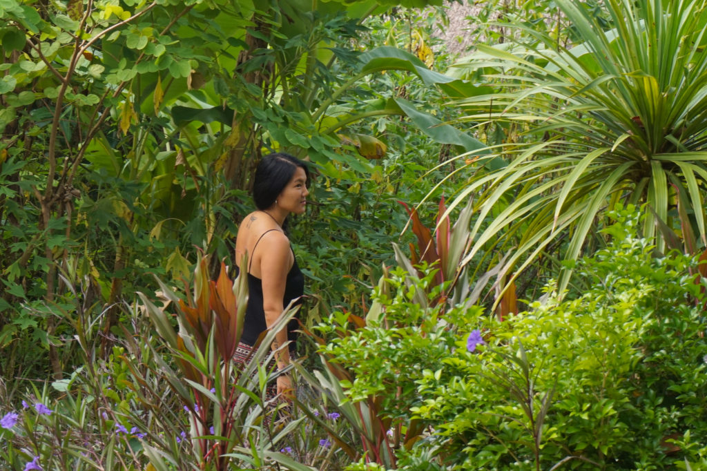 Mai Chau Ecolodge garden