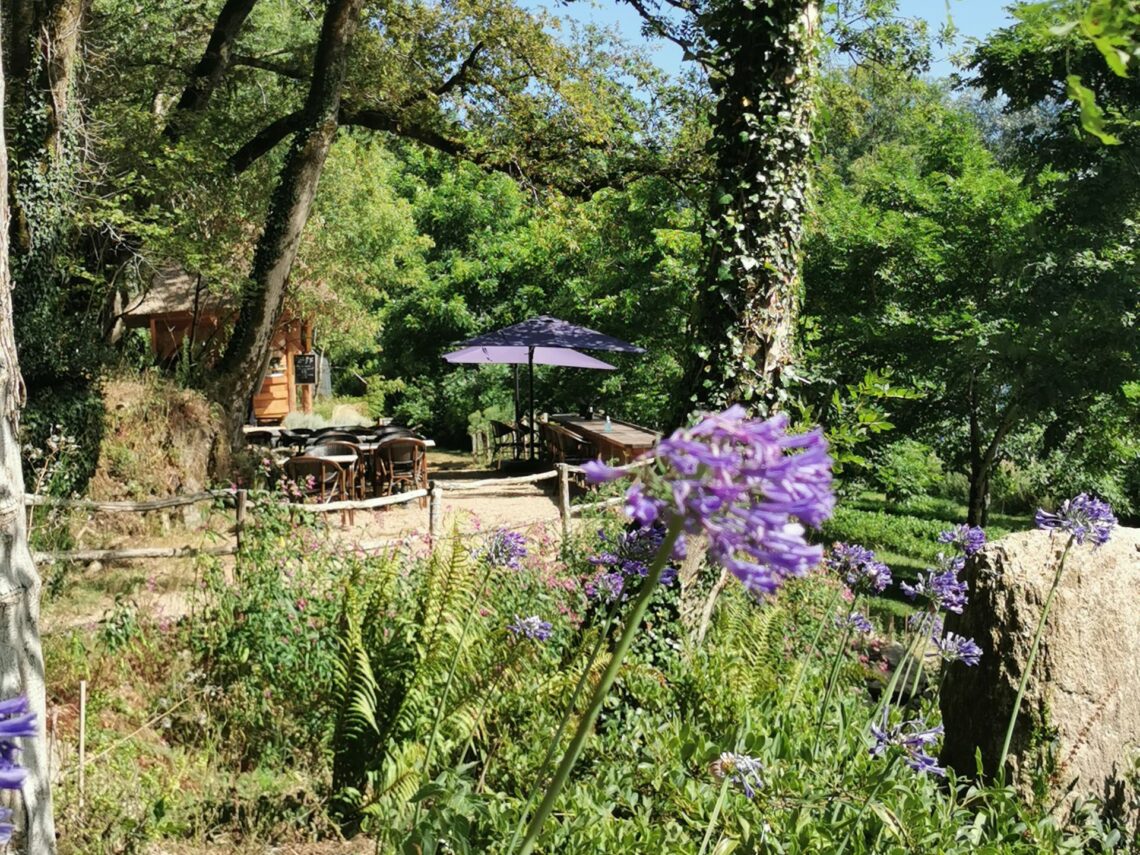 Filleule des Fees jardin de thé breton