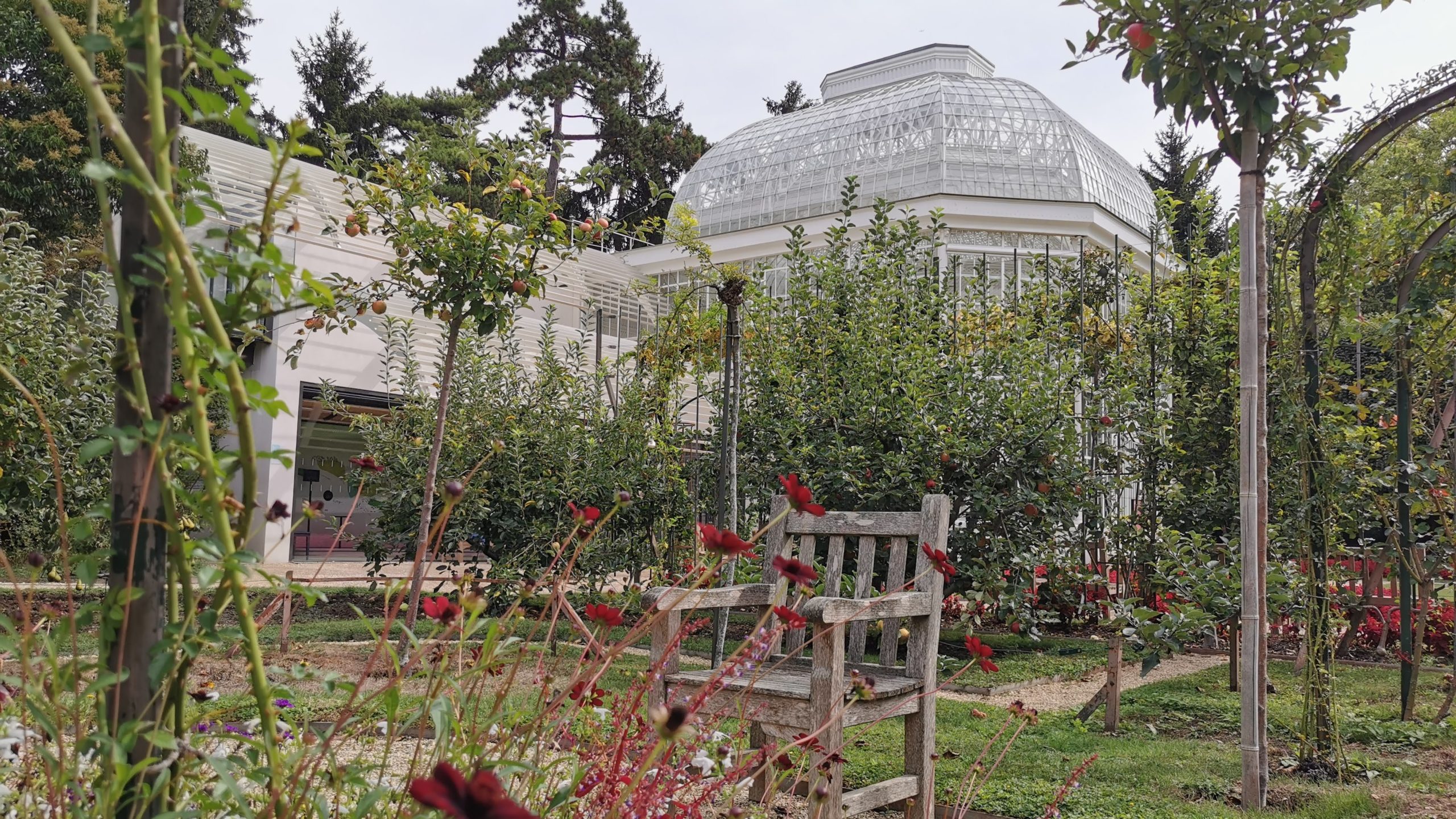 Rose garden and greenhouse at the Albert Kahn Museum
