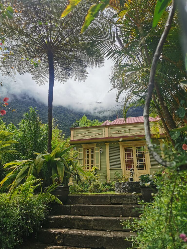 A typical house framed with tree ferns in Hell-Bourg