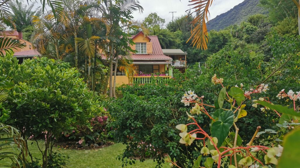 A luxuriant garden in Salazie