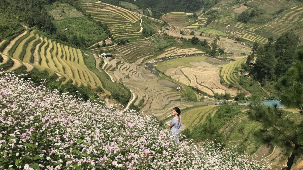 Point de vue de La Pan Tan, Mu Cang Chai