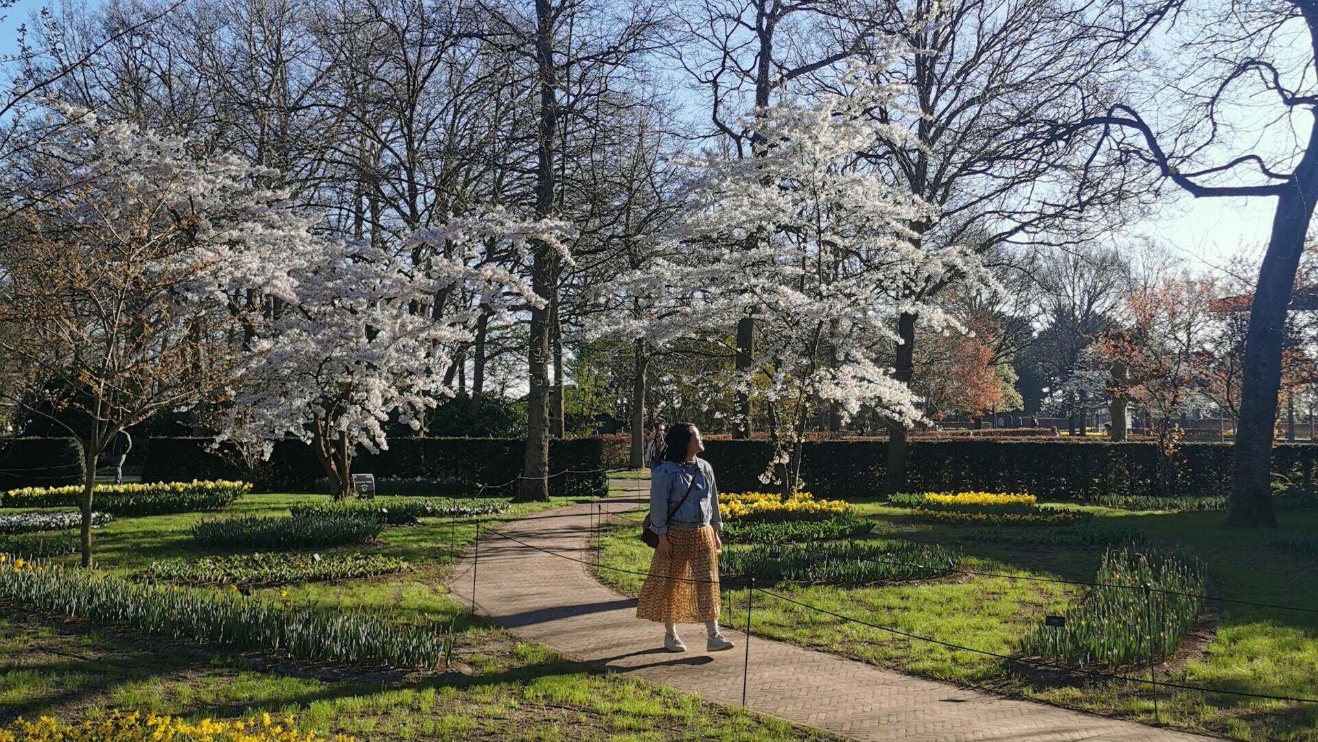 Before the Tulips: Early Spring at Keukenhof