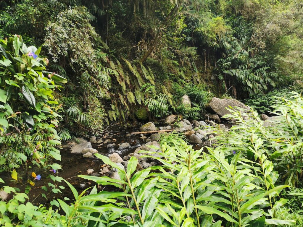 Hell-Bourg's Ancient Baths stream