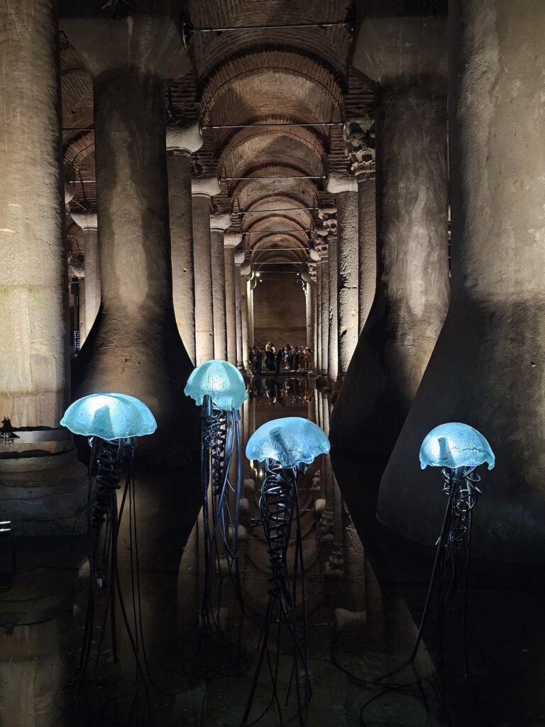 Jellyfish - Deeper beneath Exhibit in Cisterna Basilica