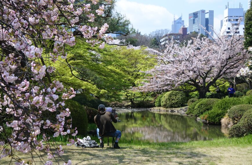 Hanami sakura in Kyoto
