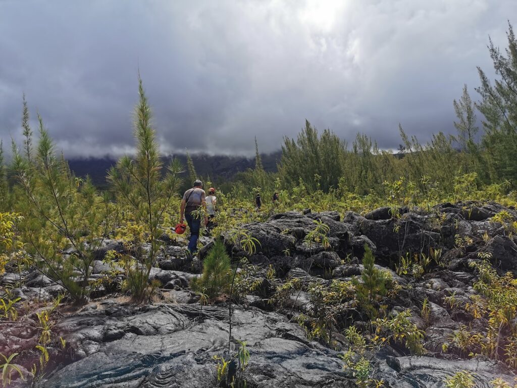 Marcheurs dans le Grand Brûlé sur les coulées de lave