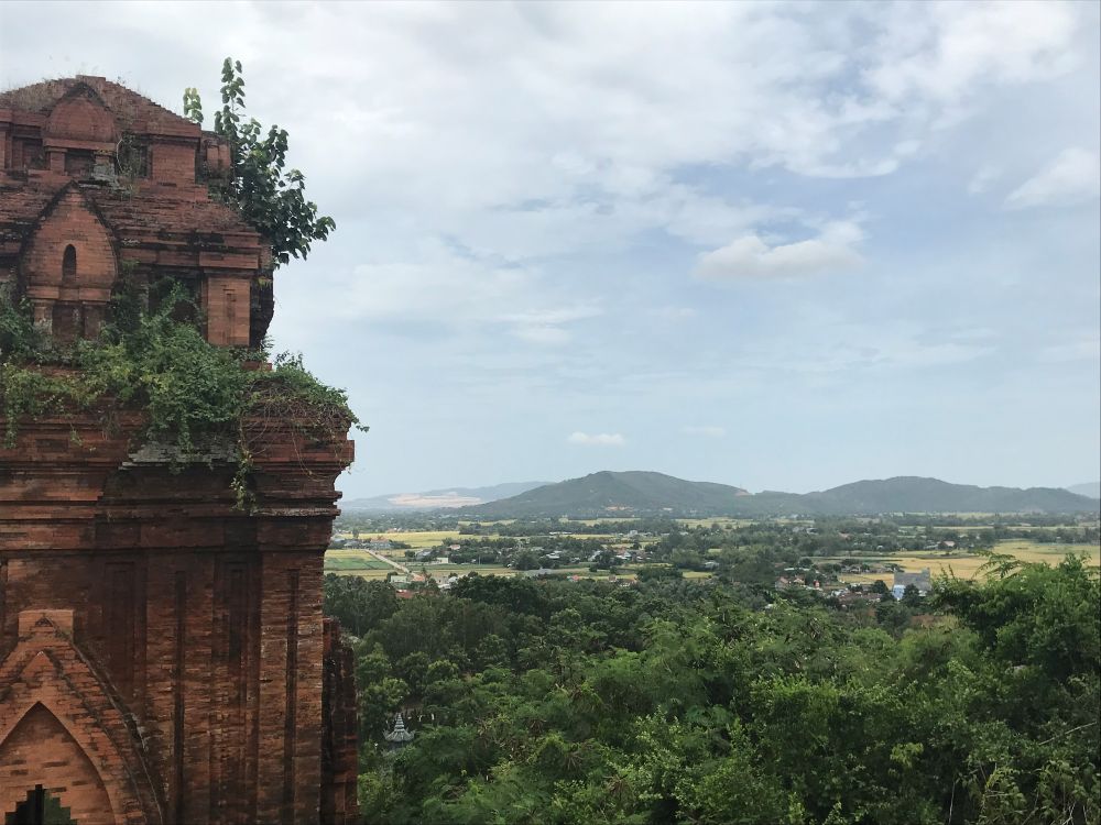 Vue de forêts depuis les ruines Cham 