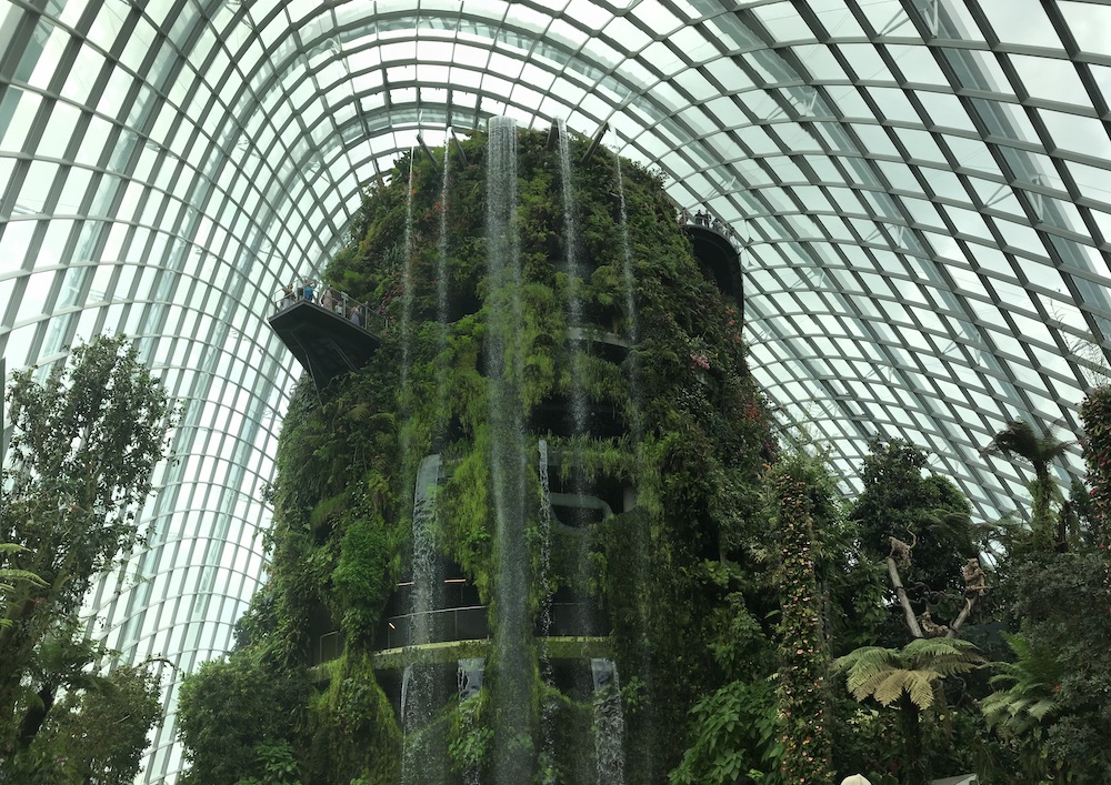 La montagne de brume et ses gigantesques cascades dans la Cloud Forest.