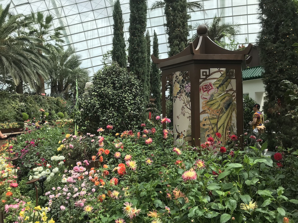 Des fleurs multicolores en bosquets sous la serre du Flower Dome.