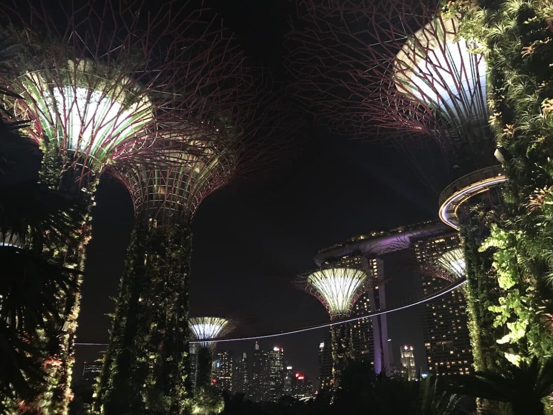 Photo en contre-plongée de Singapour la nuit, les supertrees surplombent les buildings éclairés.