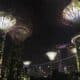 Photo en contre-plongée de Singapour la nuit, les supertrees surplombent les buildings éclairés.