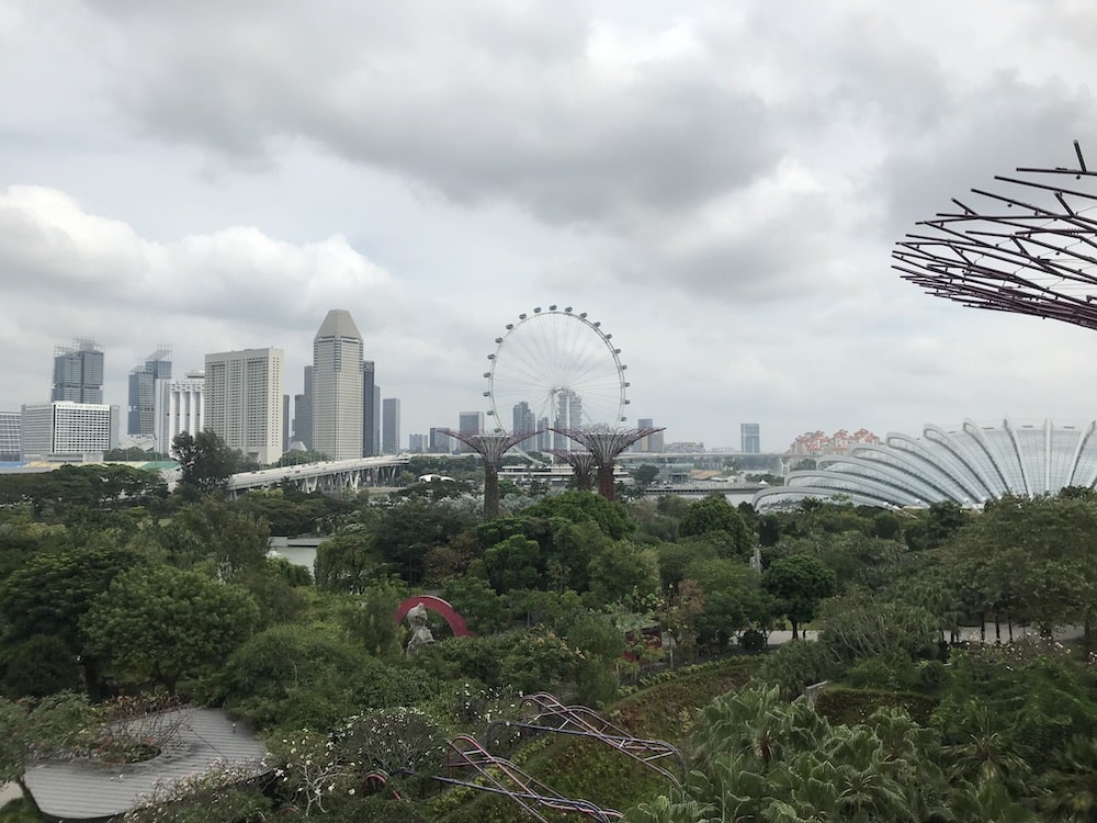 La ville de Singapour et l'immense jardin du Garden by the Bay, on peut voir au loin les Supertrees et le Flower Dome.