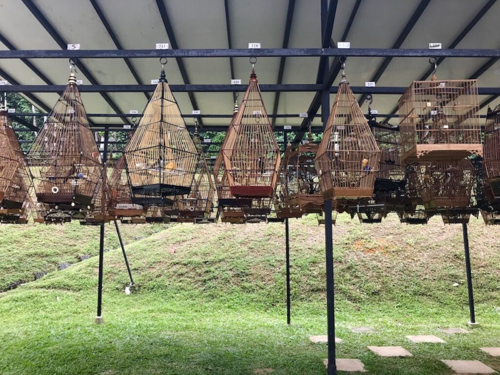Des cages de toutes formes alignées  sous un auvent au Kibun Baru Birdsinging Club de Singapour.