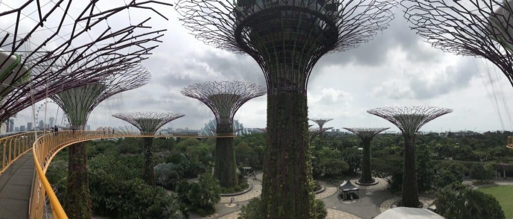 La Skyway permet de changer de point de vue et de surplomber le jardin, tout en nous rapprochant de la cime des Supertrees.