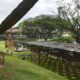 Vue générale du Kebun Baru Birdsinging Club de Singapour. On voit les auvents au premier plan, puis la forêt des cages montées sur des poteaux à l'arrière-plan.
