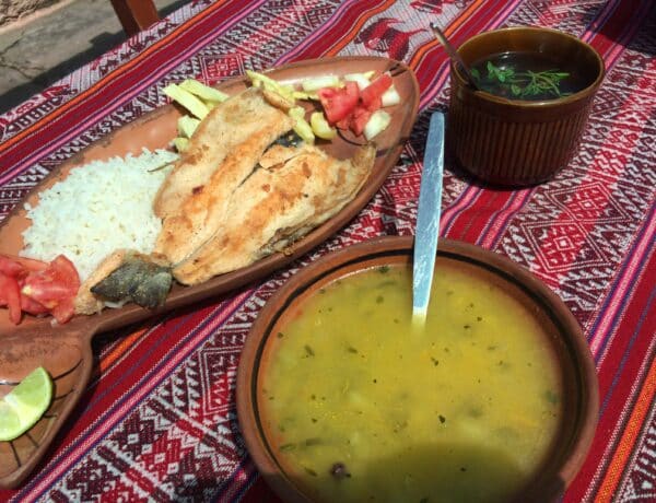 Truite et riz devant soupe avec crudités, un plat présentée sur une nappe coloré.