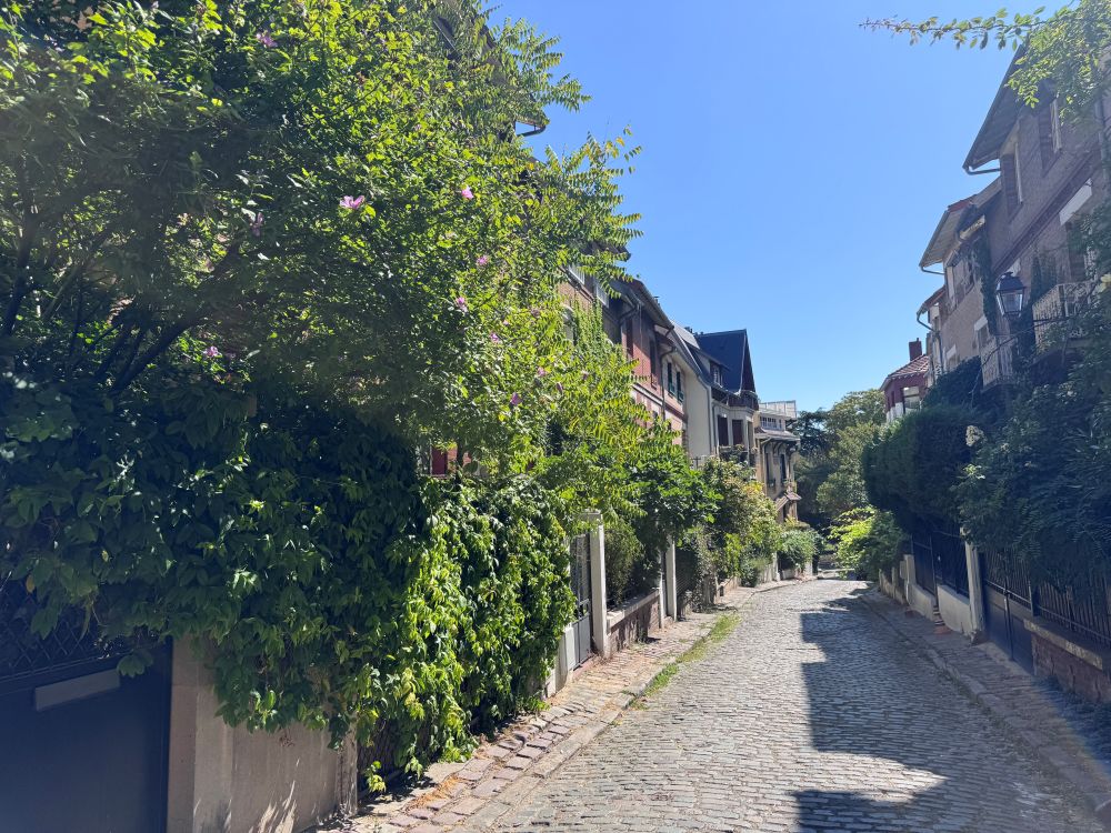 trees and flower in a little parisien street